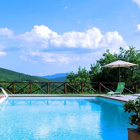 Agriturismo Badia Ficarolo Palazzo del Pero Bagian luar foto