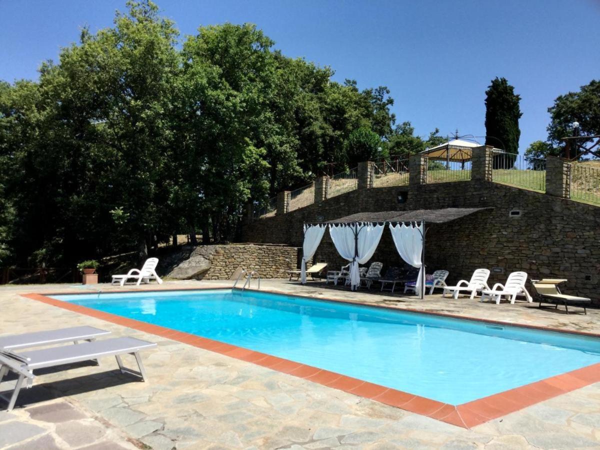 Agriturismo Badia Ficarolo Palazzo del Pero Bagian luar foto