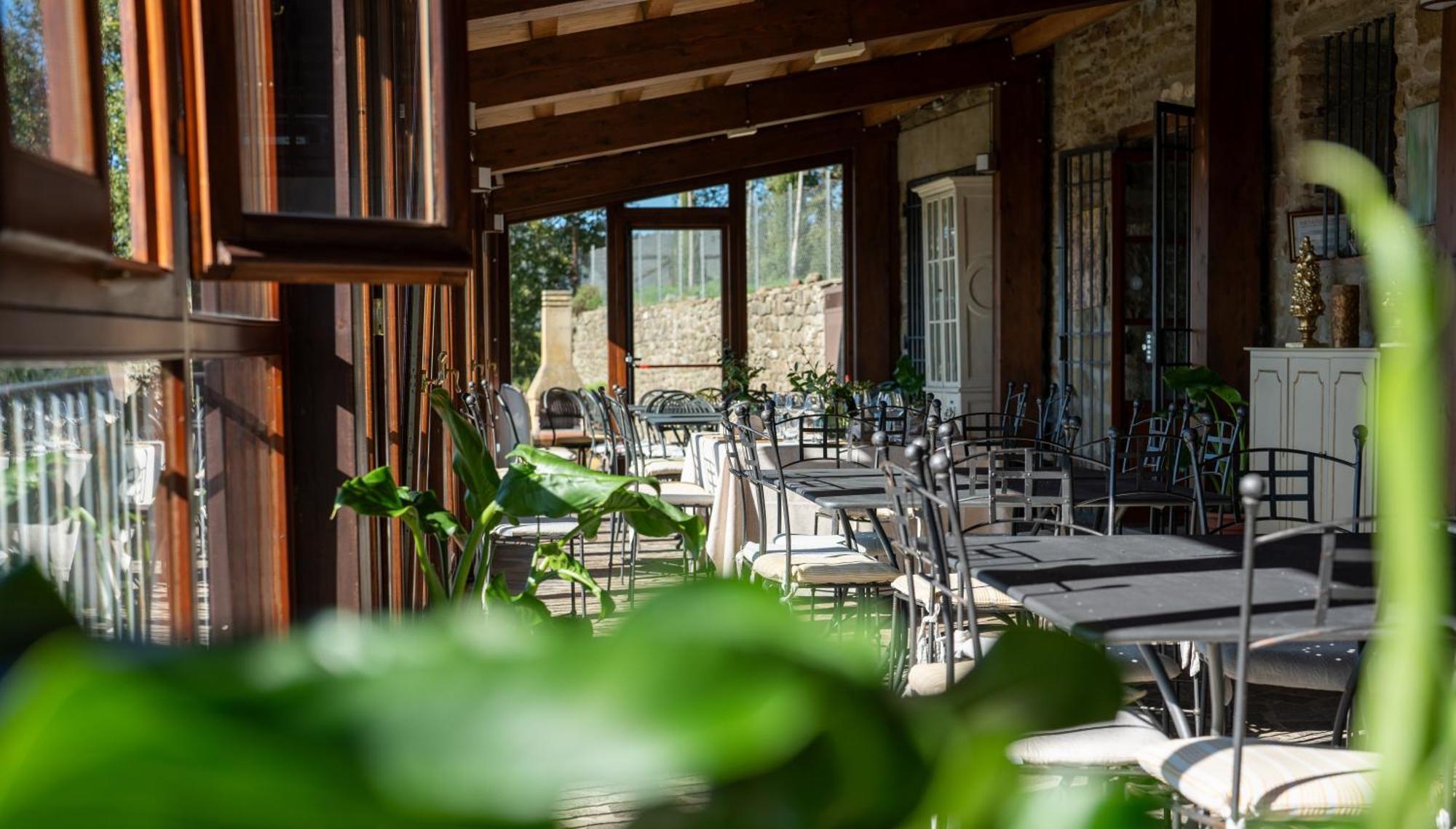 Agriturismo Badia Ficarolo Palazzo del Pero Bagian luar foto