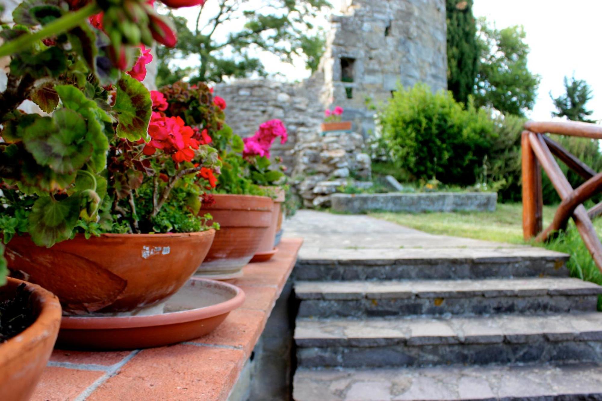 Agriturismo Badia Ficarolo Palazzo del Pero Bagian luar foto